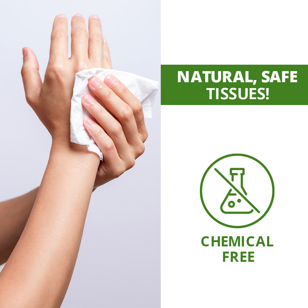 Toilet Tissues Paper 2 Ply - 300 Sheets - 100 g | WBM Care