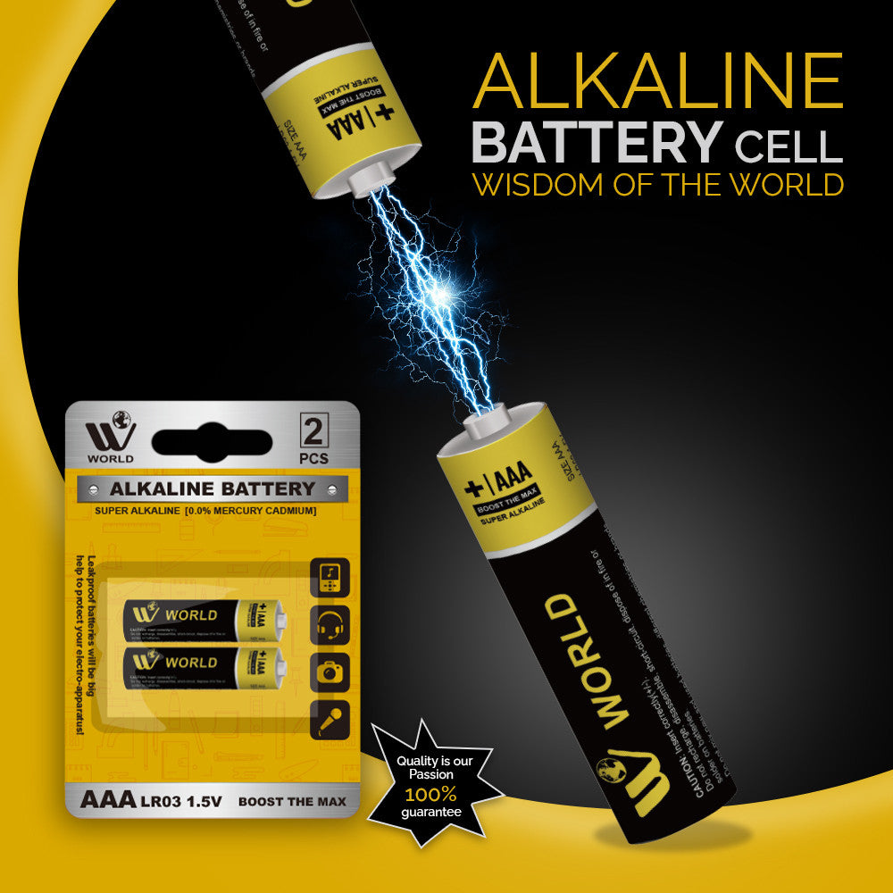 Alkaline Battery Cells AAA - 2 Pcs | WBM World