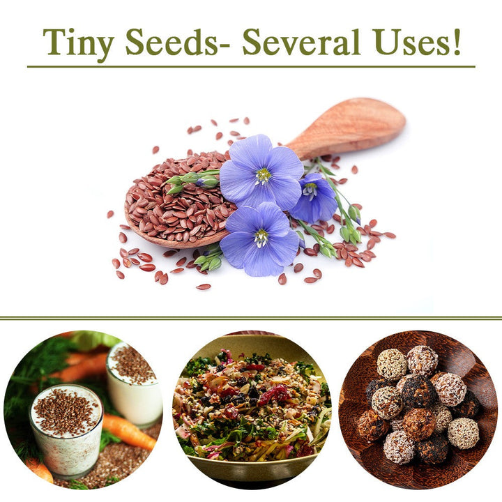 Alsi (Flax Seed) - 0.2lbs (100g) | Himalayan Chef