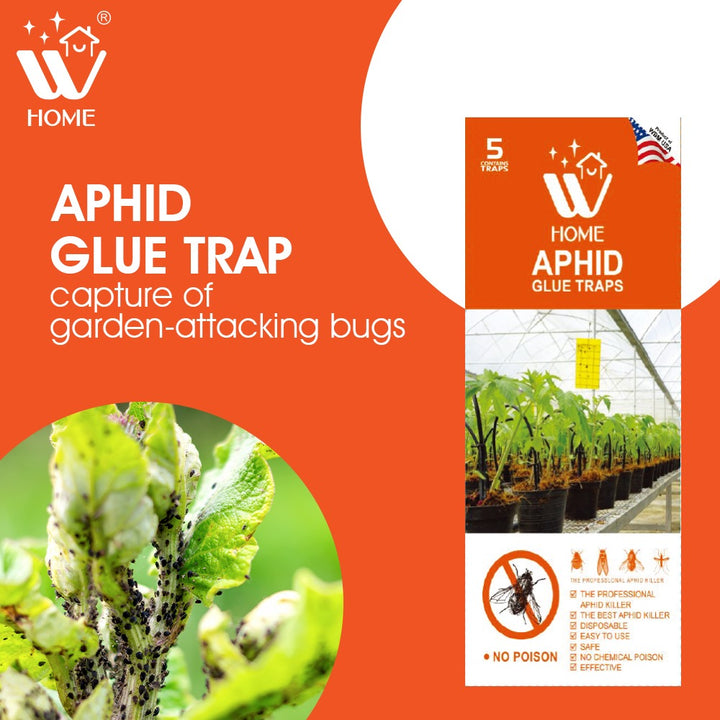 Aphid Glue Trap | WBM Home