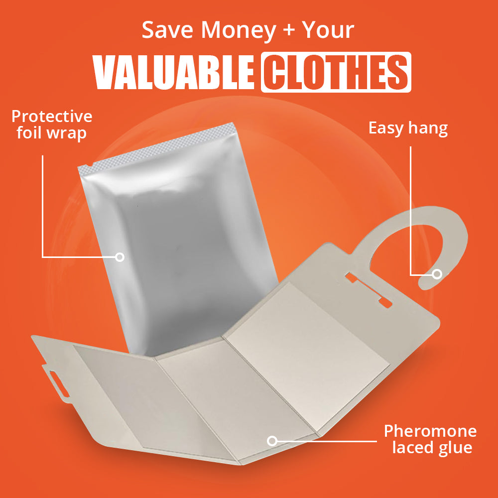 Cloth Moth Trap - 2 Pcs | WBM Home