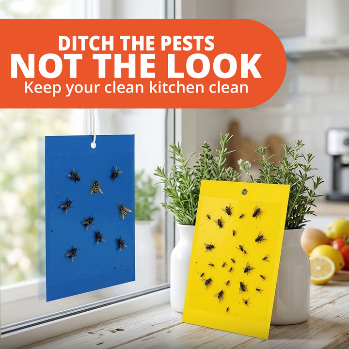 Fly Glue Traps - 12 Pcs | WBM Home