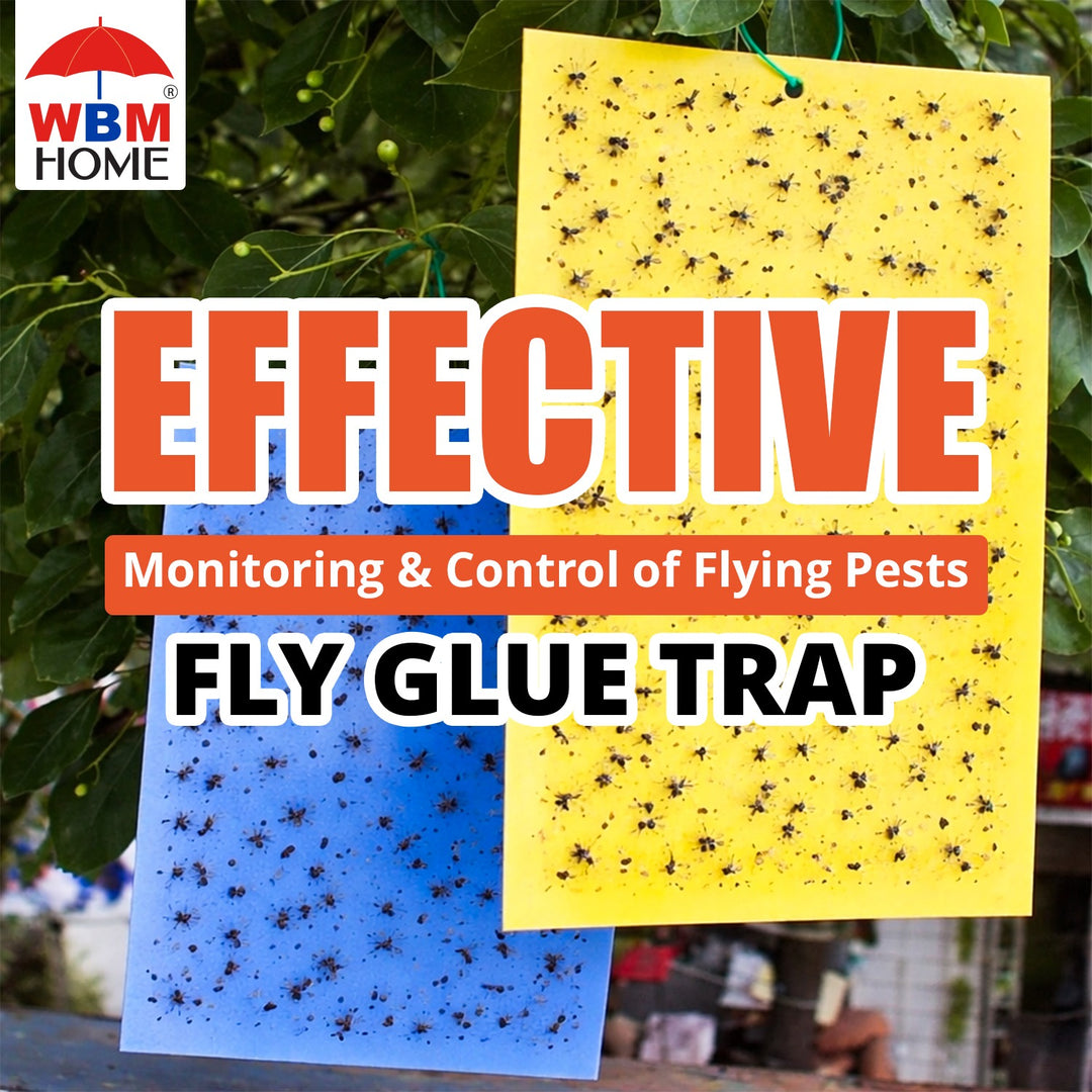 Fly Glue Traps - 12 Pcs | WBM Home