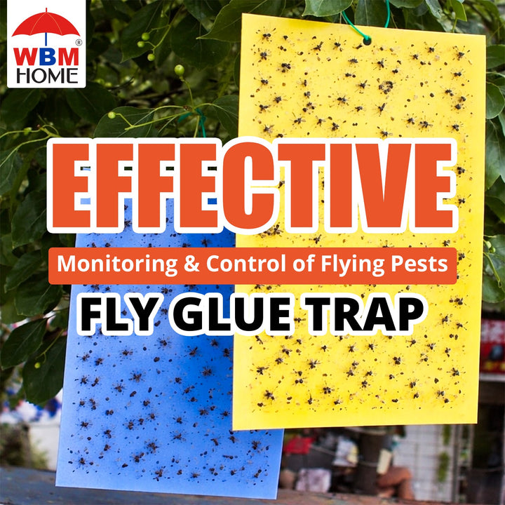 Fly Glue Traps - 12 Pcs | WBM Home