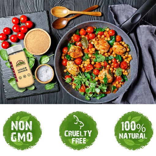 Ginger Powder Plastic Shaker - 0.35 lbs (160g) | Himalayan Chef