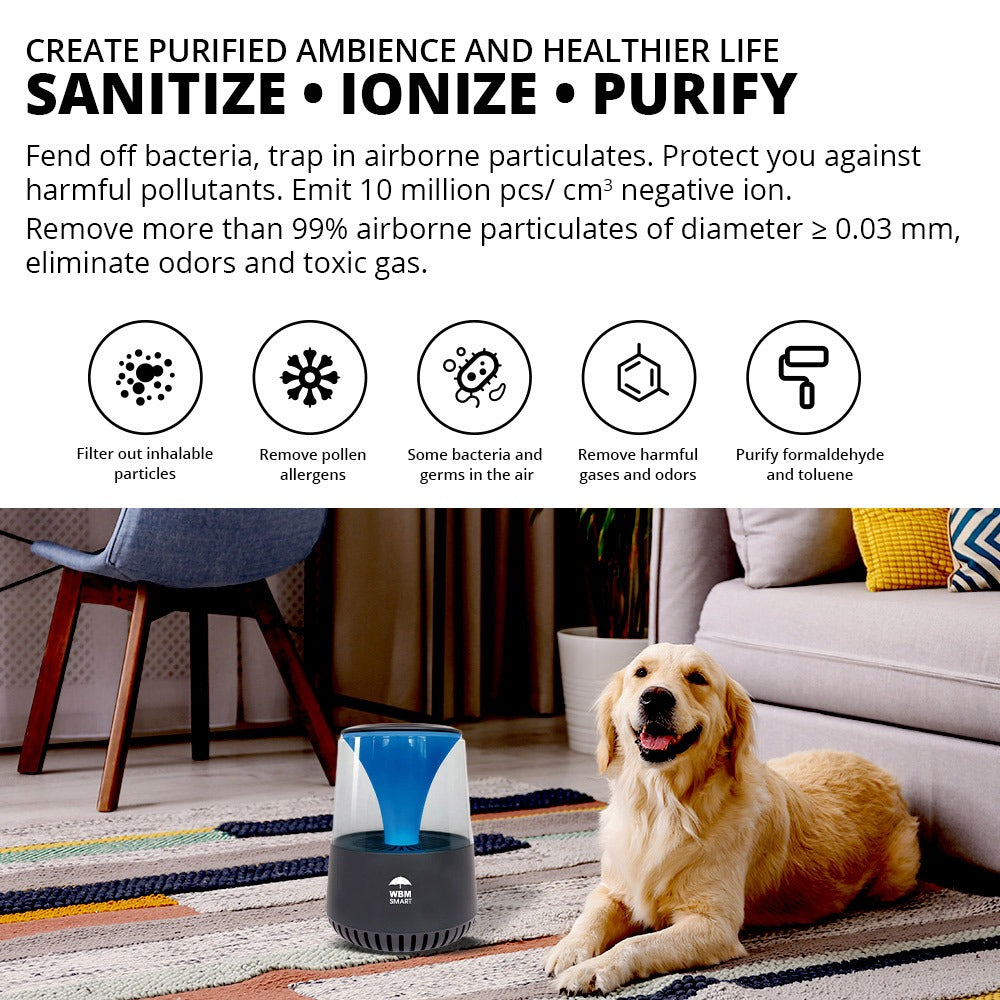 HEPA Air Purifier with Bluetooth Speaker (white) | WBM Smart