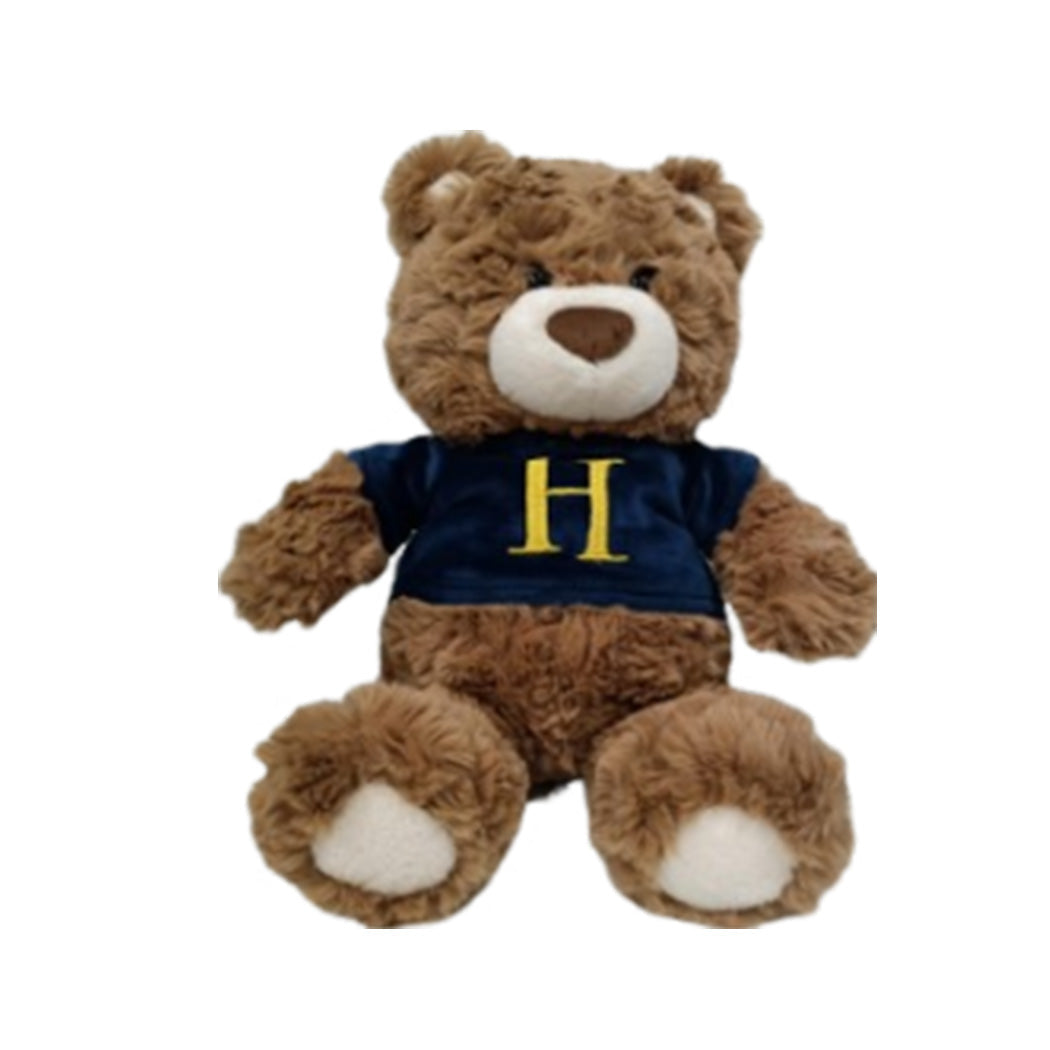 Harry Potter Sweatshirt Gift Bear Plush Toy 10-inch Any Random Color| WBM MART