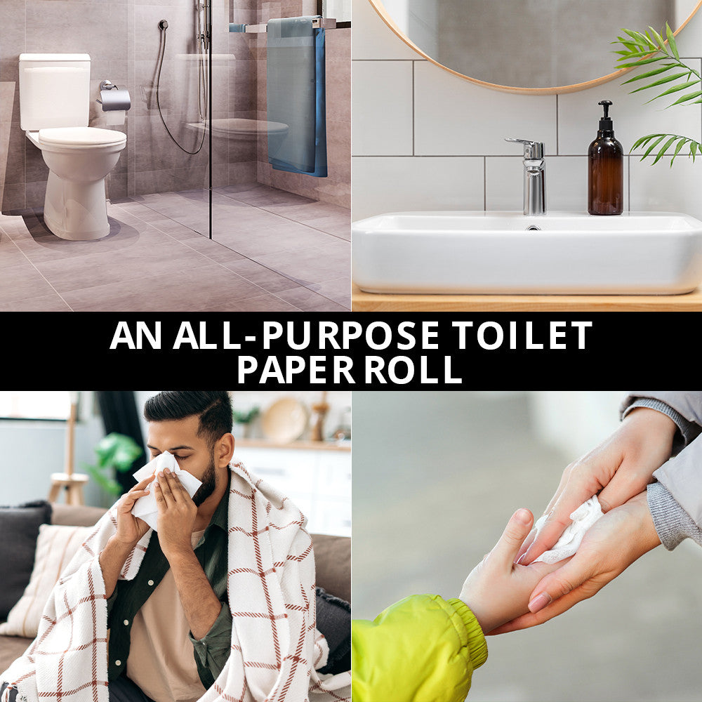 Toilet Tissues Paper 2 Ply - 300 Sheets - 100 g | WBM Care