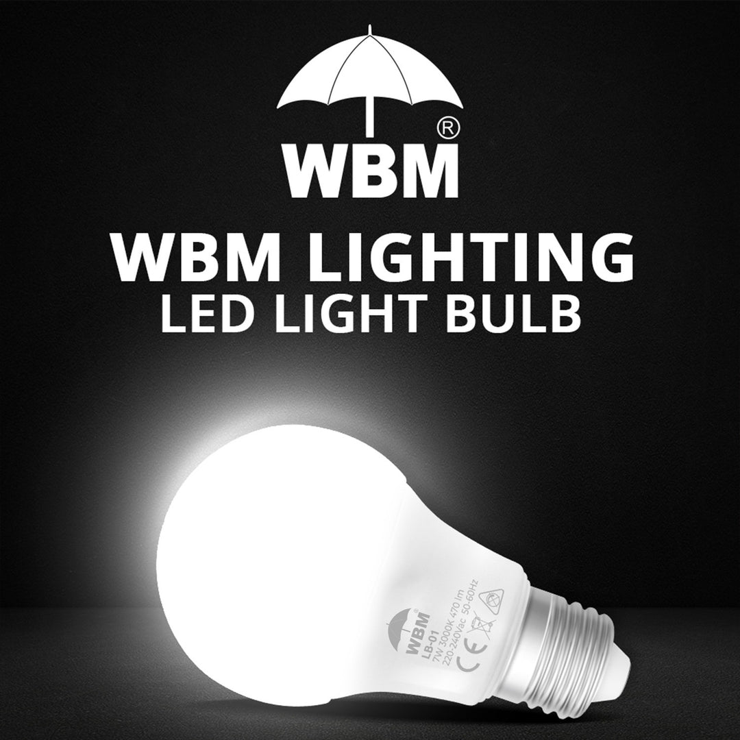 LED Light Bulb - Cool White (12W) | Himalayan Glow