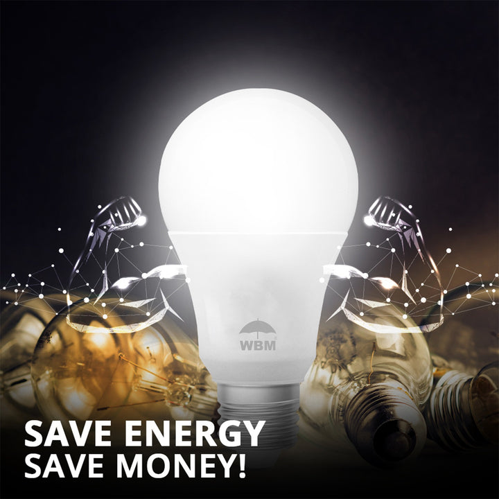 LED Light Bulb - Cool White (12W) | Himalayan Glow