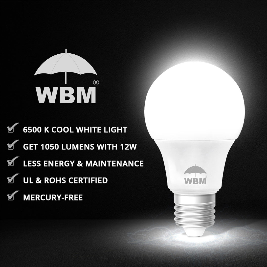 LED Light Bulb - Cool White (12W) | Himalayan Glow