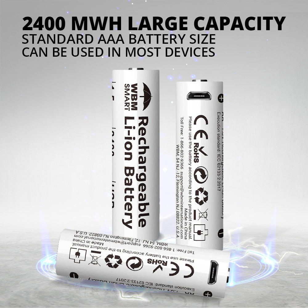 Rechargeable Li-ion Battery Set | WBM Smart