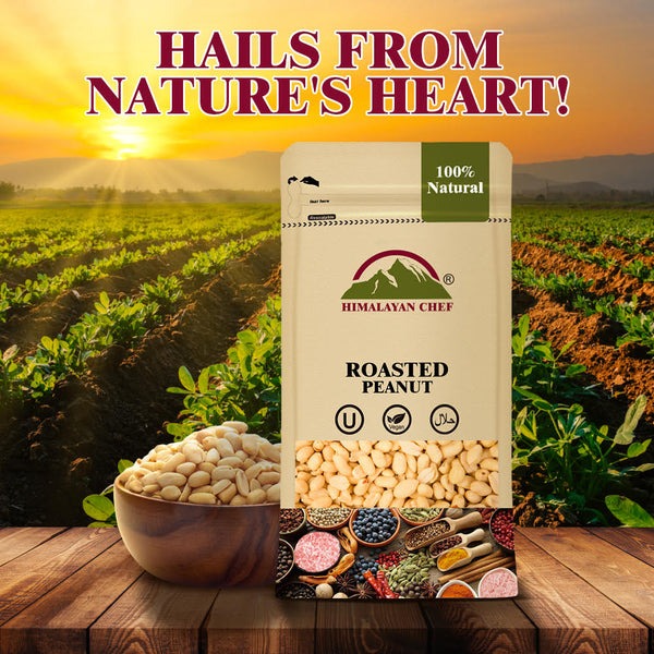 Roasted Peanut without Shell - 0.2 lbs (100g) | Himalayan Chef