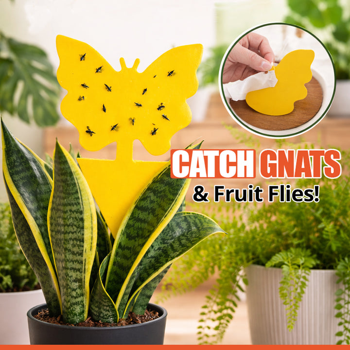 Sticky Bug Sticker - 12 Pcs | WBM Home