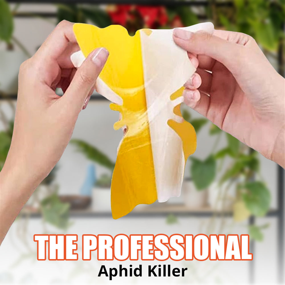 Sticky Bug Sticker - 12 Pcs | WBM Home