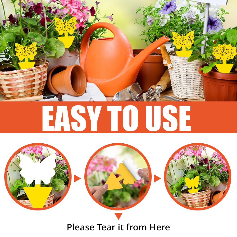 Sticky Bug Sticker - 12 Pcs | WBM Home