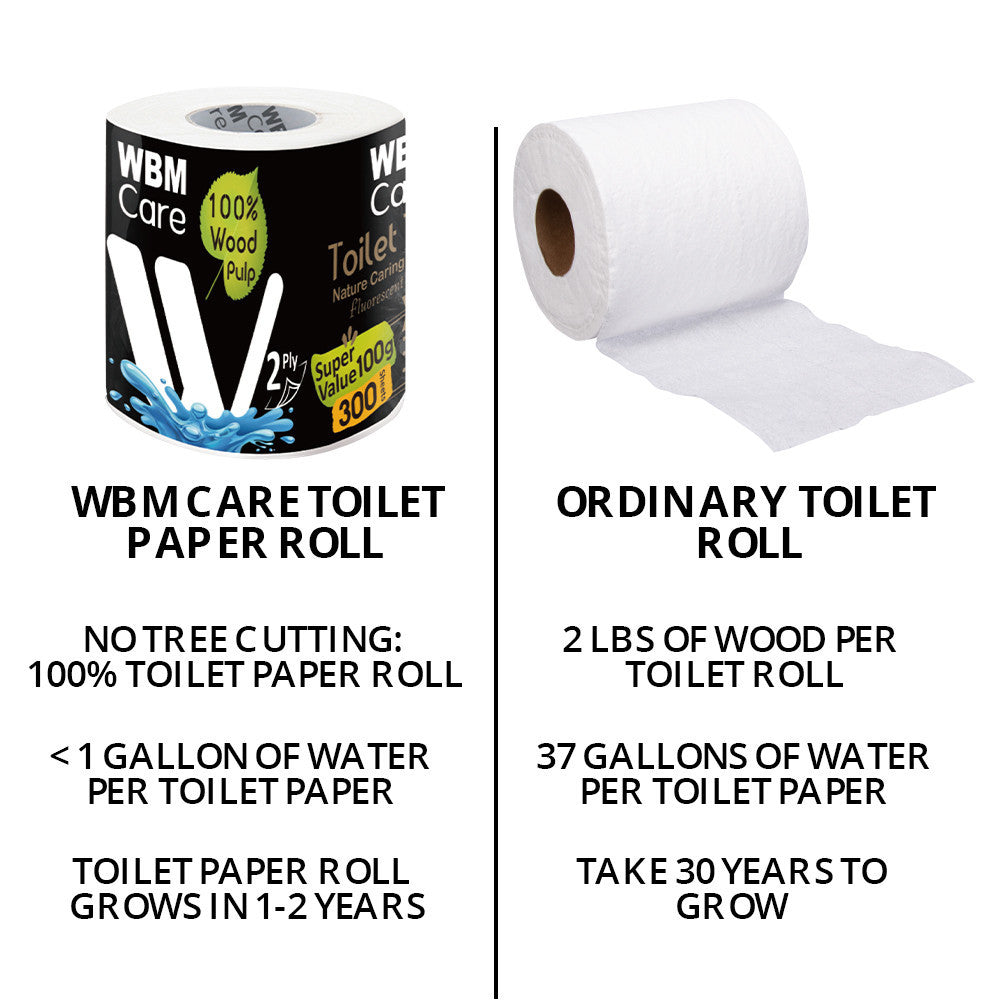Toilet Tissues Paper 2 Ply - 300 Sheets - 100 g | WBM Care