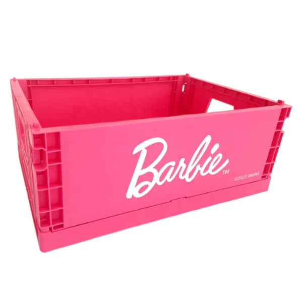 Barbie Collapsible Storage Bin – Large Foldable Organizer Box | WBM MART