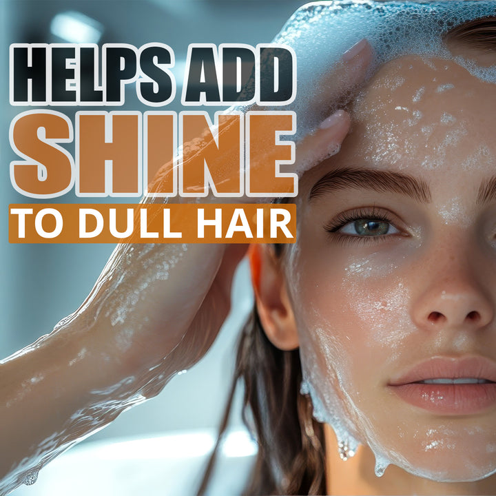 Pack of 6 | Revitalizing Shampoo for Damaged  &amp; Dry Hair 400ml | Belux