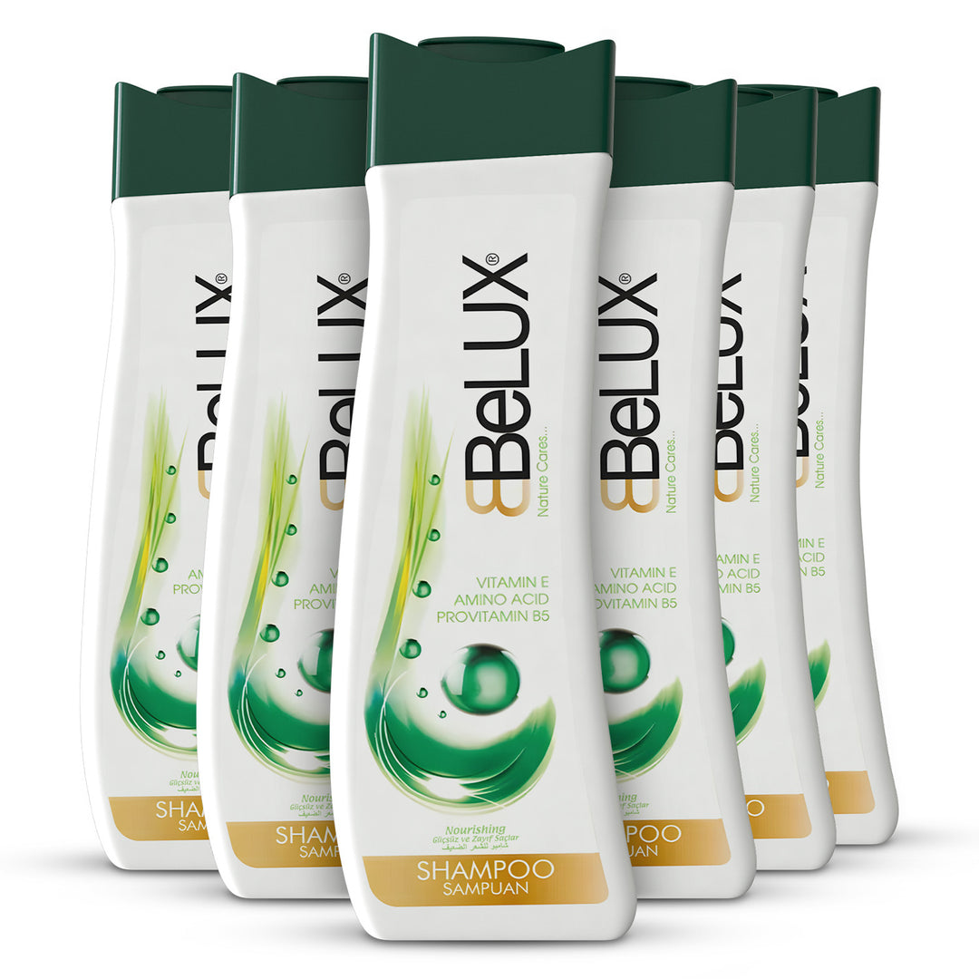 Pack of 6 | Anti-Frizz Nourishing Shampoo - 750ml | Belux