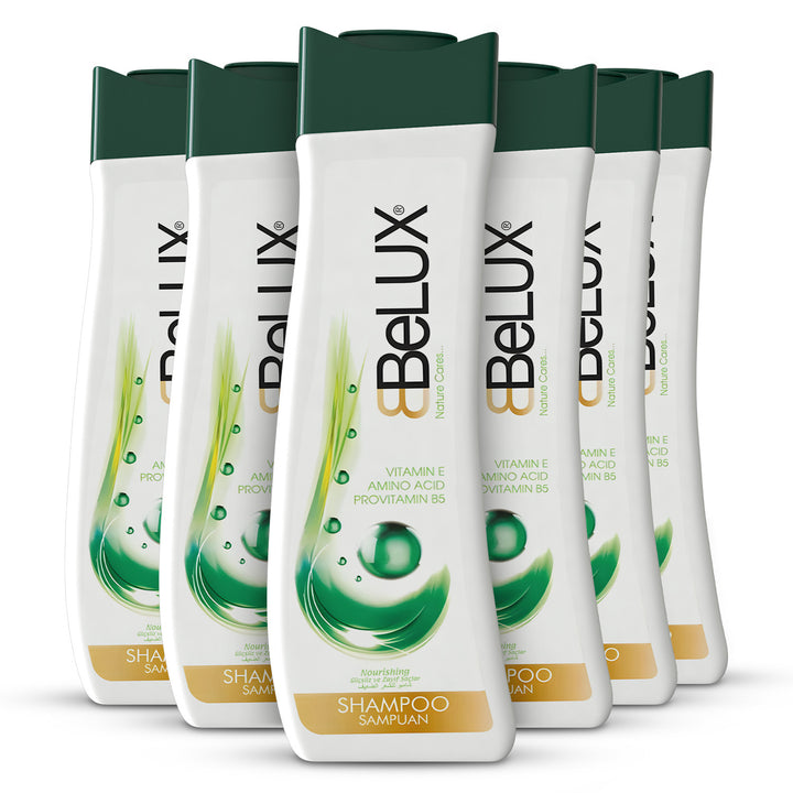 Pack of 6 | Anti-Frizz Nourishing Shampoo - 750ml | Belux
