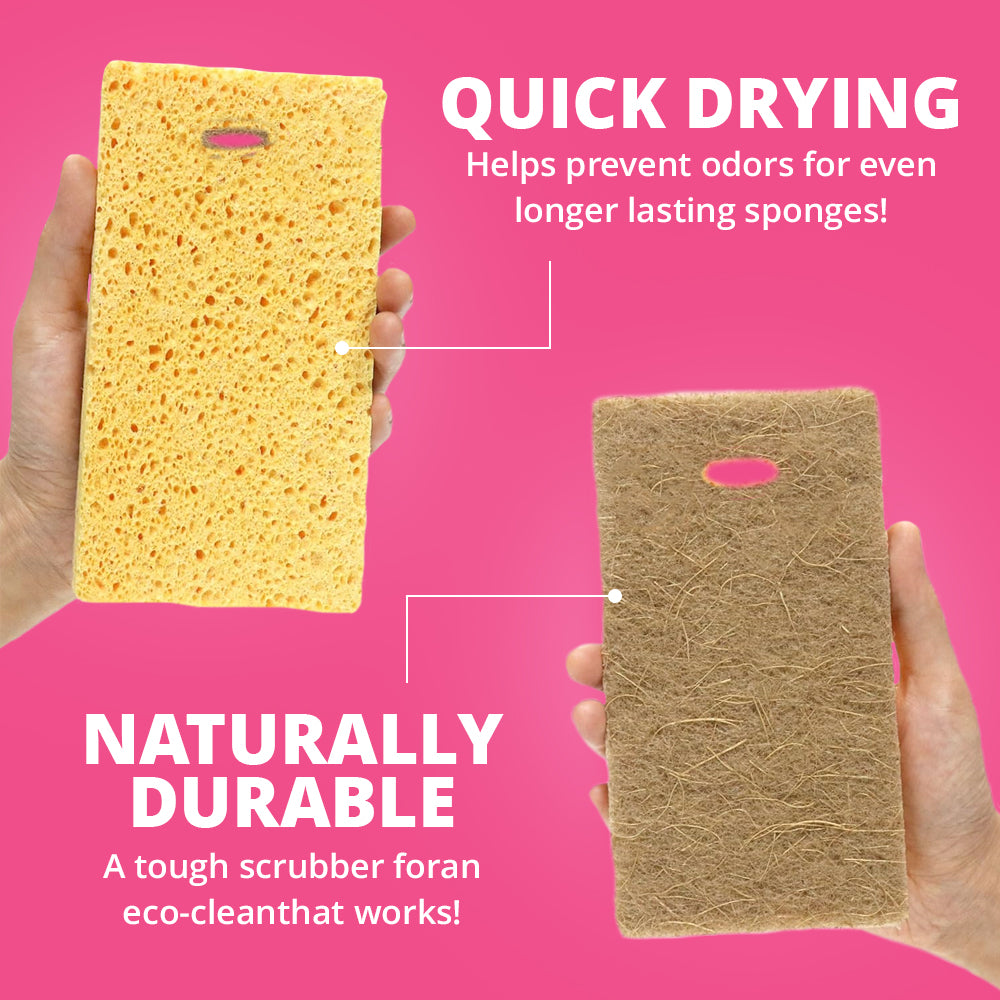 Dish Washing Scouring Pad - 1 Pcs | WBM Home