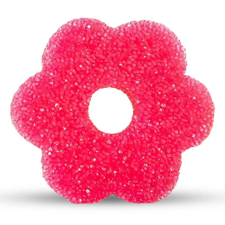 Non-Scratch Cleaning Scrubber - 1 Pcs | WBM Home