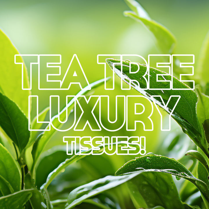 Facial Tissues Medium Tea Tree 2 Ply - (200 Sheets) | WBM Care
