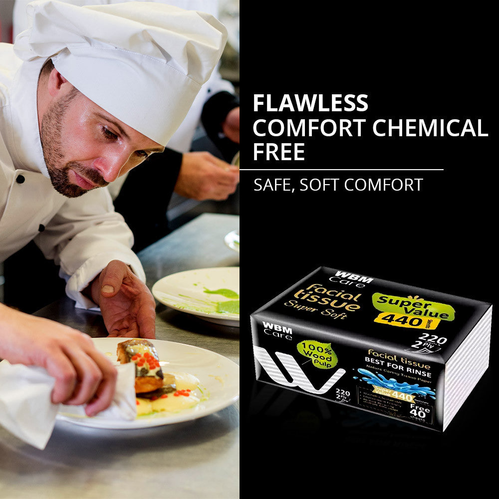 Facial Tissue Paper Small 2 Ply - 220 Sheet | WBM Care